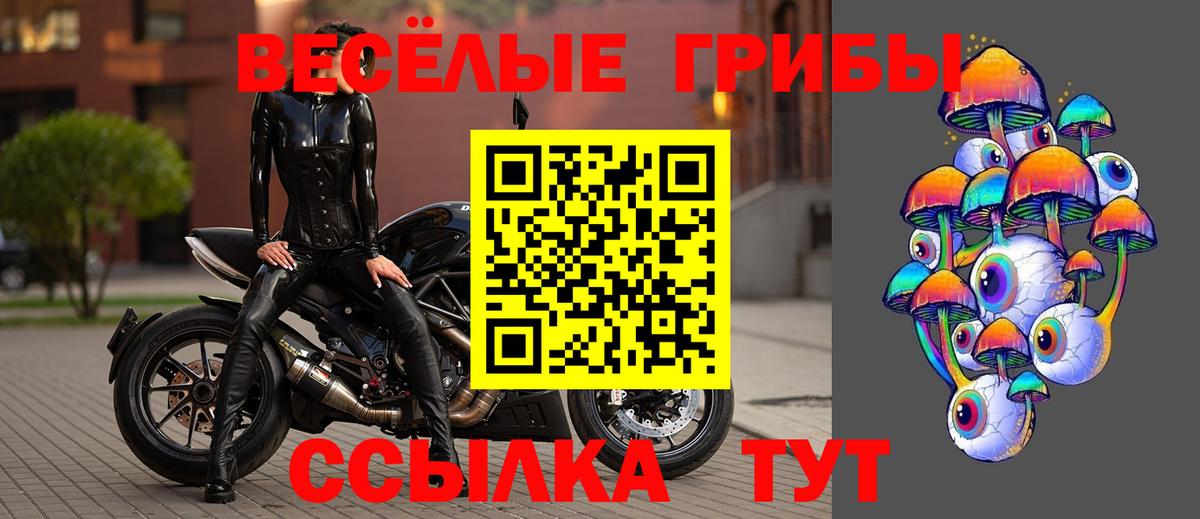 Псилоцибиновые грибы Psilocybine cubensis Дивногорск