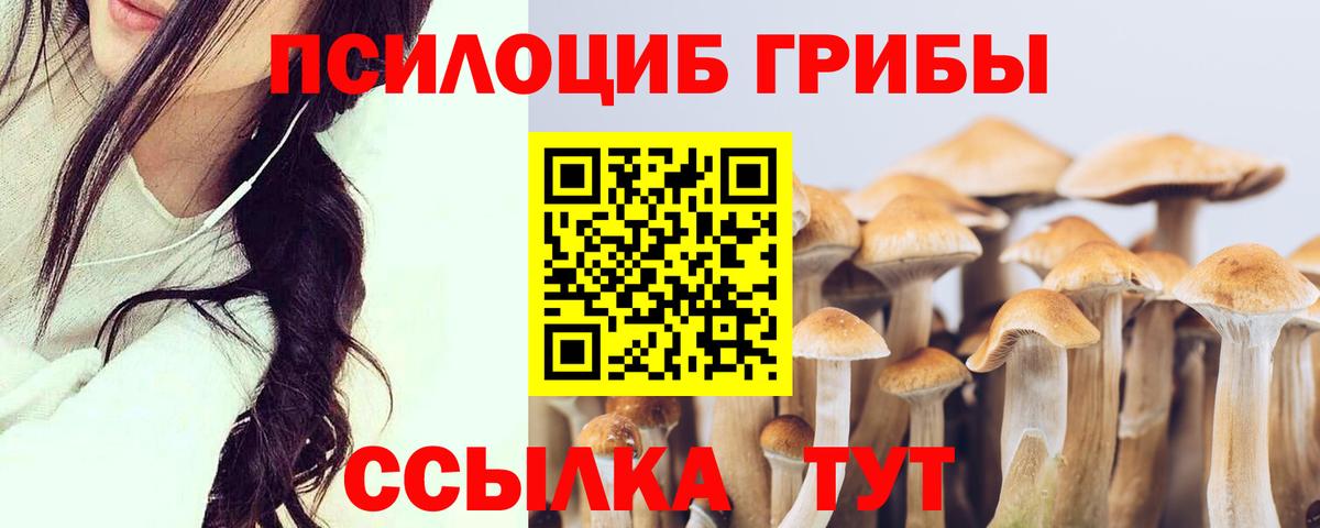 Галлюциногенные грибы MAGIC MUSHROOMS  Вход с VPN  где купить наркоту  Псилоцибиновые грибы Psilocybe  Дивногорск 